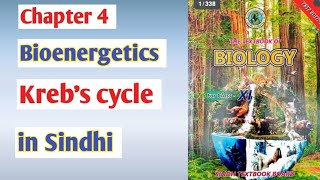 Krebs cycle class 11 biologyCitric acid cycle  Sindh board [upl. by Nelav]