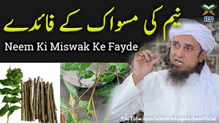 Neem Ki Miswak Ke Fayde  Mufti Tariq Masood  Islamic Info Speeches [upl. by Jada698]