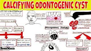 Calcifying Odontogenic Cyst  Clinical radiographic Histopathologic Features and Treatment [upl. by Ledda447]