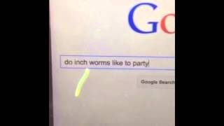 DO INCH WORMS LIKE TO PARTY [upl. by Nairoc]