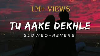 TU AAKE DEKHLE ll SLOWEDREVERB ll KING [upl. by Riordan439]