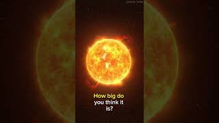 Sun vs UY Scuti space universe shorts astronomy [upl. by Leonelle]