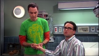 El Macho Alfa  The Big Bang Theory Español Latino [upl. by Annawd]