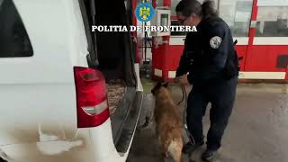 Controale de amploare la frontierele din Botoșani Zeci de polițiști de frontieră și echipaje canine [upl. by Anilah]