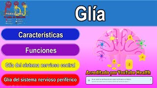 Neuroglía  Neuroglías tipos y funciones  Glía  Células gliales [upl. by Ahsap296]