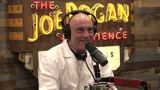 Joe Rogan Experience 2009  Duncan Trussell [upl. by Nayhr454]