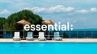 Playlist 기어코 여름이 왔습니다 🌞  여름에 듣기 좋은 시원한 팝송  3 hours chill mix [upl. by Anazraf]