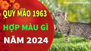 Tuổi Quý Mão 1963 hợp với màu gì năm 2024 đem lại TÀI LỘC MAY MẮN [upl. by Eichman]