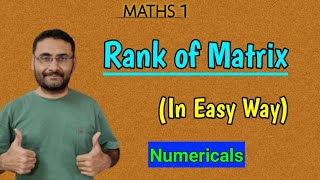 Rank of Matrix  Examples  In easy way  Maths [upl. by Menard]