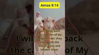 Amos 914  quotGod will bring back His people to rebuild and rejoicequot [upl. by Ecnarret]