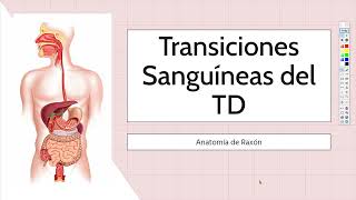 Transiciones Vasculares del Tubo Digestivo  ANATOMÍA DE MOORE [upl. by Nolra]