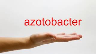 How to Pronounce azotobacter  American English [upl. by Yenahteb]