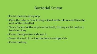 Bacterial Stain Preparation [upl. by Notsirk]