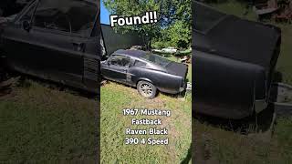 Found in Oklahoma Check out this extremly rare 1967 Mustang Fastack 390 4 Speed in Raven Black [upl. by Ardnovahs115]