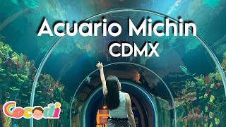 ACUARIO MICHIN ¿Qué incluye el acceso de 349 📍CDMX 🇲🇽 [upl. by Lenehc]