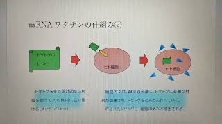 「新型コロナワクチンってなんなん？」○○ってなんなん？シリーズ二回目 [upl. by Ijnek196]