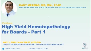 PATHBOARDS High Yield Hematopathology for Boards  Part 1 [upl. by Eenel]