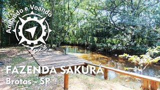 Conheça o Camping da Fazenda Sakura em Brotas  Estrada para Patrimônio  Andando e Voando Por Aí 🧭 [upl. by Inavoy]