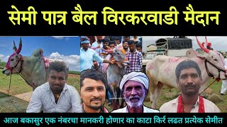 सेमी पात्र बैलं विरकरवाडी मैदान लाईव्ह  semi patra bail Virkarwadi maidan live बकासुर bakasur [upl. by Nnylsoj565]