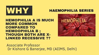 Why Hemophilia A is much more common compared to Haemophilia B [upl. by Bruner]