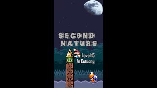 An Estuary  level 15 de SECOND NATURE smw kaizo mario supermarioworld [upl. by Iemaj]