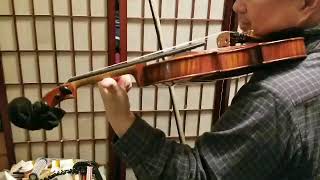 200131 gp1g Brahms passage fingering chinkimviolinlessons chinkim com [upl. by Iramohs]