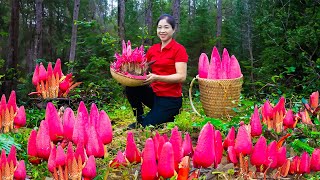 Harvesting Red Mushroom amp Goes To Market Sell  Gardening And Cooking  Lý Tiểu Vân [upl. by Eseyt175]