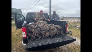 Nutria Rat Hunting in Louisiana  Swamp People [upl. by Bess]