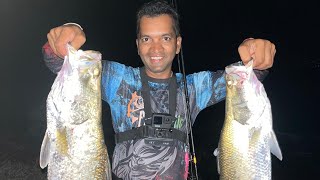 Night fishing catch by barramundi fish Vaibhavchavan08 [upl. by Inirt999]