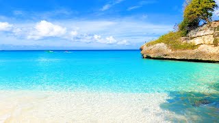 Beach Perfection 3 Hours of Blue Waters amp Relaxing Wave Sounds 4K Video [upl. by Orvie]