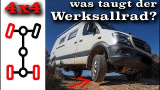 Was taugt der Sprinter 4x4 Werksallrad  ESP vs Sperren  wirsehnunsunterwegs [upl. by Waneta763]