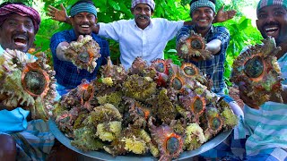 CONCH Cooking amp Eating  Sangu Kari  How to Cook Conch  Rare Seafood Item Cooking In Village [upl. by Eirrok]