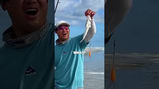 FAKE vs REAL bait Does this really work fishing [upl. by Elwira]