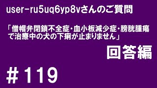 回答編「僧帽弁閉鎖不全症・血小板減少症・膀胱腫瘍の犬の下痢が止まりません」 [upl. by Flynn]