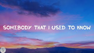 Gotye  Somebody That I Used To Know Lyric Video [upl. by Aloek76]