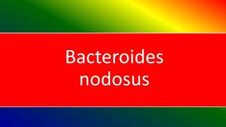 bacteroides nodosus [upl. by Einreb]