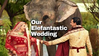 Elephant Wedding Witness the Most Fantastic Elephant Wedding of the Year in India [upl. by Arremat614]