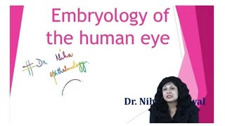 Development of Eye  Dr Niha Aggarwal [upl. by Sorgalim150]