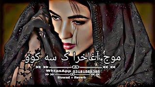 Pashto New Songs 2023 SlowedReverb Pashto Song  Sad Song  Lofi Song  New Song 2023 [upl. by Tham418]