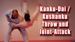 Practical Kata Bunkai KankuDai  Kushanku Throw and JointAttack [upl. by Yanahs669]