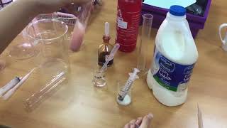 GCSE Biology Practical 10 Decay [upl. by Nrubyar]