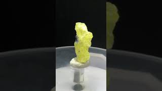 Rare 16 ct Brucite Specimen from Balochistan Pakistan for 14 viral crystals trending trend [upl. by Ahsinahs487]