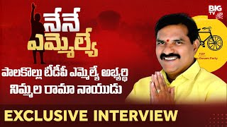 Palakollu Assembly Constituency TDP MLA Candidate Nimmala Rama Naidu Exclusive Interview  Nene MLA [upl. by Dolhenty761]