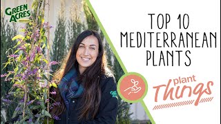 Top 10 Mediterranean Plants [upl. by Sokul]