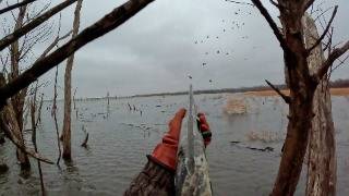 RESERVOIR MALLARDS Limited Out Public Land Duck Hunting [upl. by Hitt203]