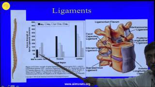 Dorsal and Lumbar Pedicles  Surgical Anatomy [upl. by Malvie413]