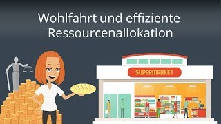 Ökonomische Wohlfahrt und Ressourcenallokation  Wohlfahrtstheorie einfach erklärt [upl. by Syverson515]