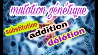 la mutation génétique et les types de mutation ponctuelle [upl. by Hunter]