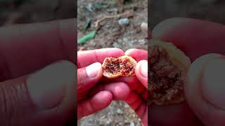 Figs  Dry Anjeer Seeds shortvideo anjeer fruit shorts satisfying 4k dryfruits garden new [upl. by Lacsap]