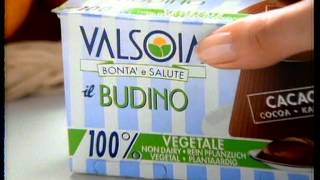 Budino Valsoia 1993  Stefania Pittaluga [upl. by Haeel]